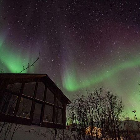 Aurora View Cabin Villa Lyngseidet Esterno foto