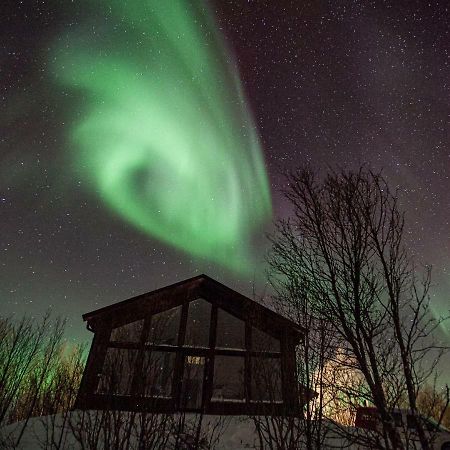 Aurora View Cabin Villa Lyngseidet Esterno foto