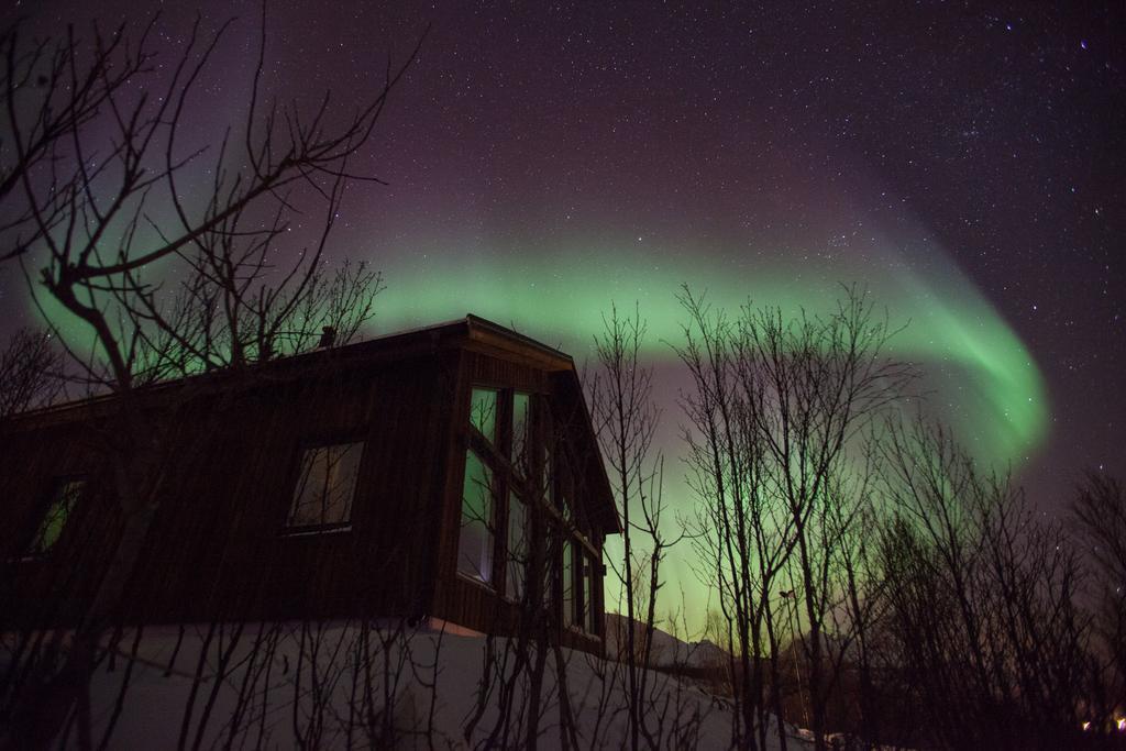 Aurora View Cabin Villa Lyngseidet Esterno foto