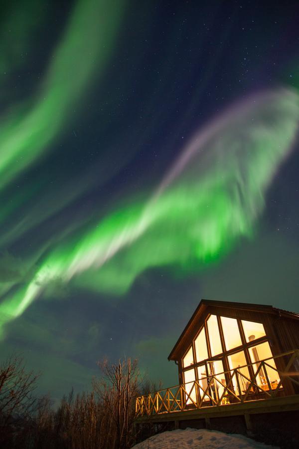 Aurora View Cabin Villa Lyngseidet Esterno foto