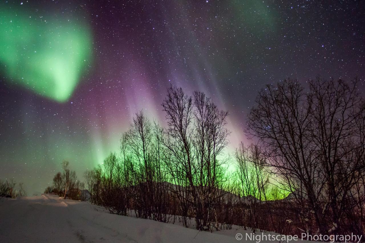 Aurora View Cabin Villa Lyngseidet Esterno foto