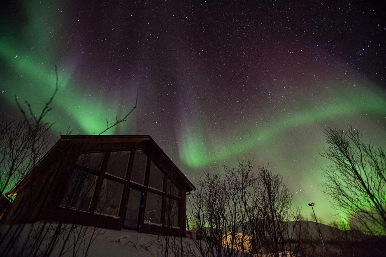 Aurora View Cabin Villa Lyngseidet Esterno foto