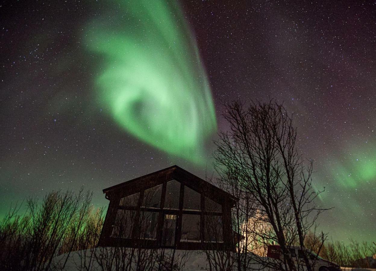 Aurora View Cabin Villa Lyngseidet Esterno foto