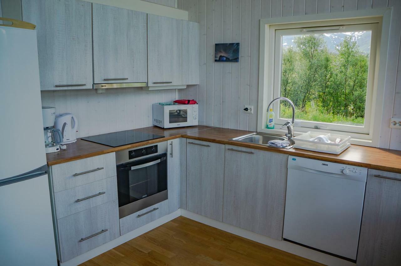 Aurora View Cabin Lyngseidet Esterno foto